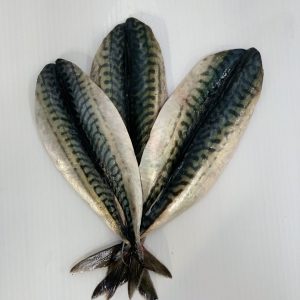 Oily Fish ( Inc Salmon / Trout)