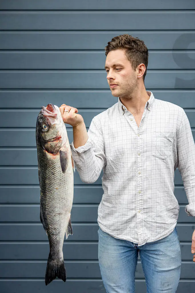 Wild Sea Bass (Dicentrarchus Labrax)