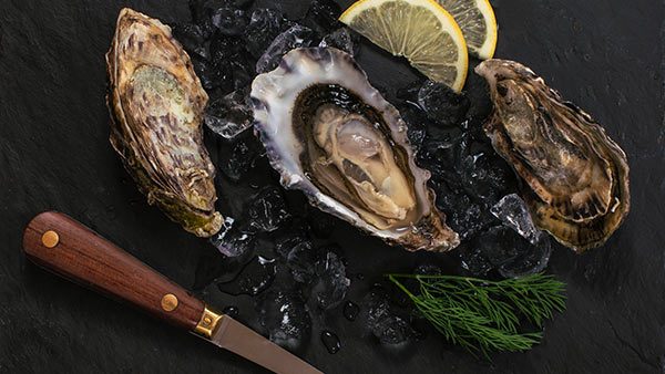 Abre ostras profesional OYSTER KING