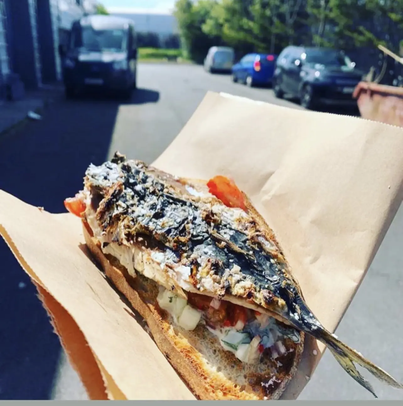 Mackerel (Scomber Scombrus) - Image 2