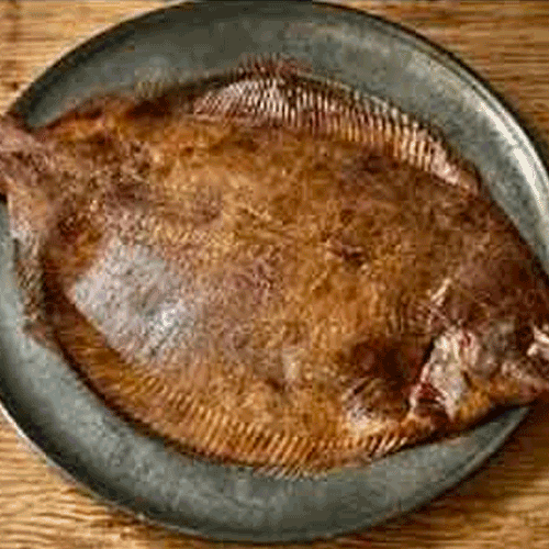 Lemon Sole (Microstomus Kitt)