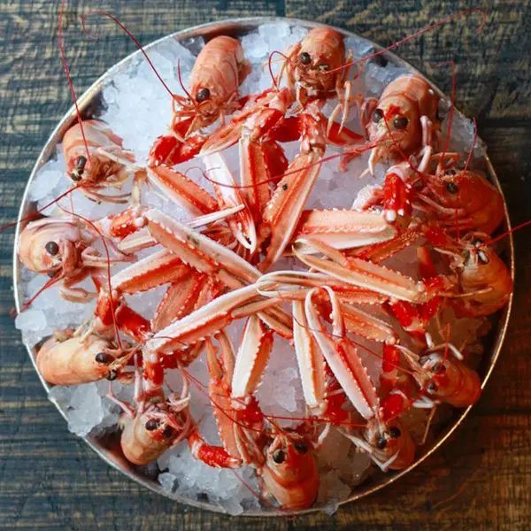 Dublin Bay Prawns 10/15 (Nephrops Norvegicus)